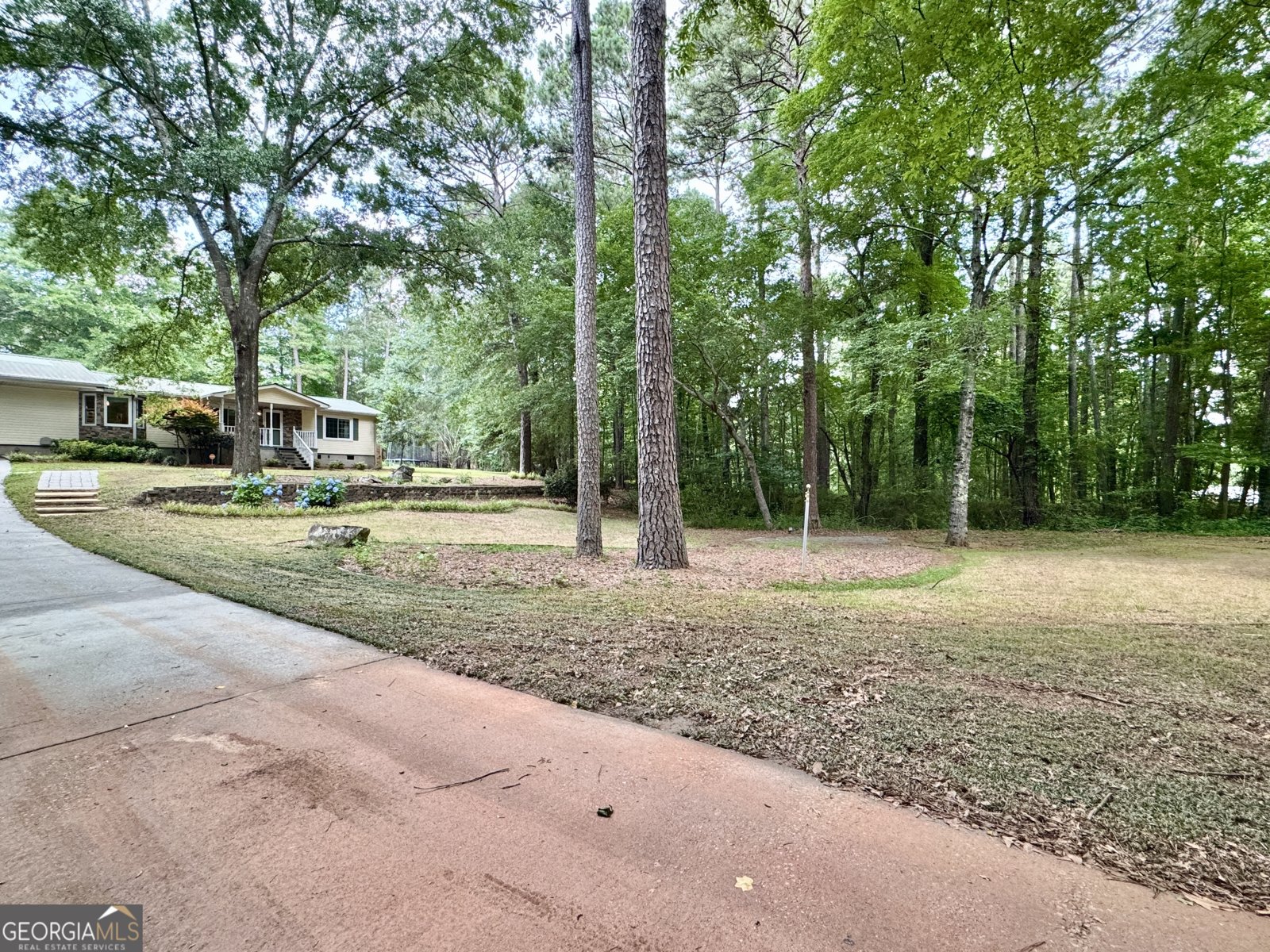 90 Howard Road Senoia - 31
