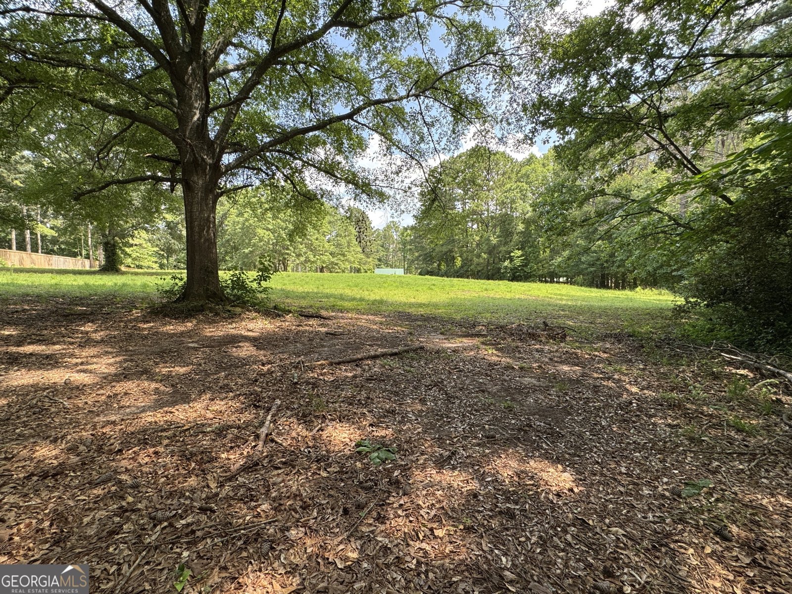 90 Howard Road Senoia - 78