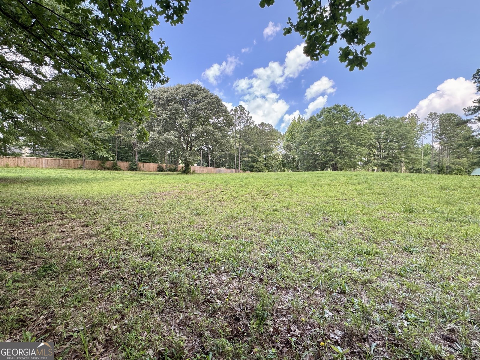 90 Howard Road Senoia - 81