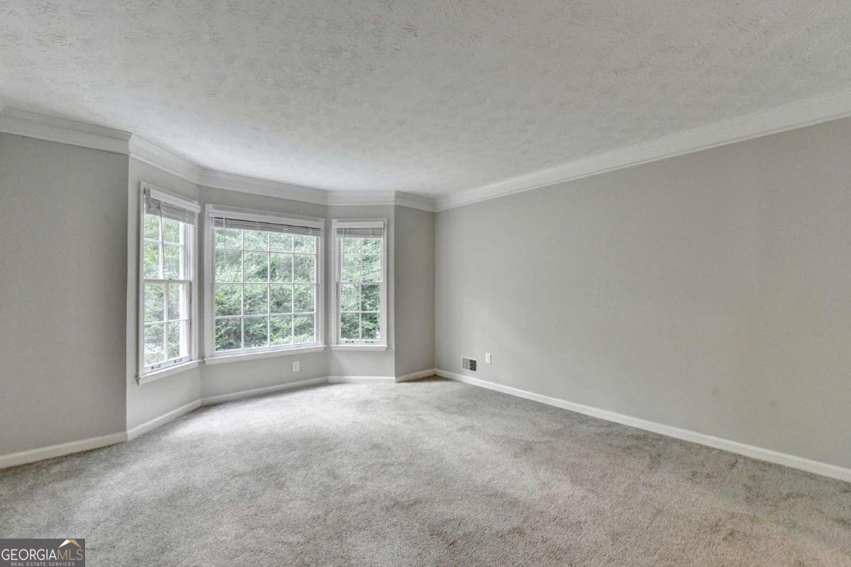 10035 Anaheim Drive Alpharetta - 31