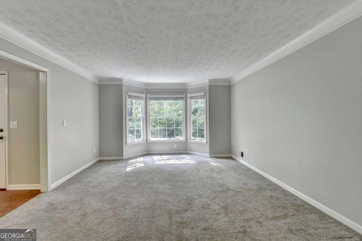 10035 Anaheim Drive Alpharetta - 33