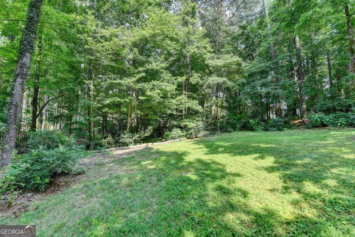 10035 Anaheim Drive Alpharetta - 74