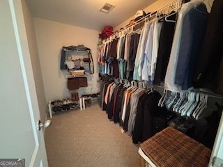 337 Long Shore Way Newnan - 18