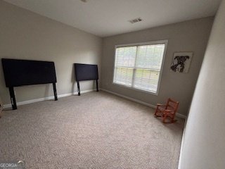 337 Long Shore Way Newnan - 23