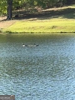 337 Long Shore Way Newnan - 30