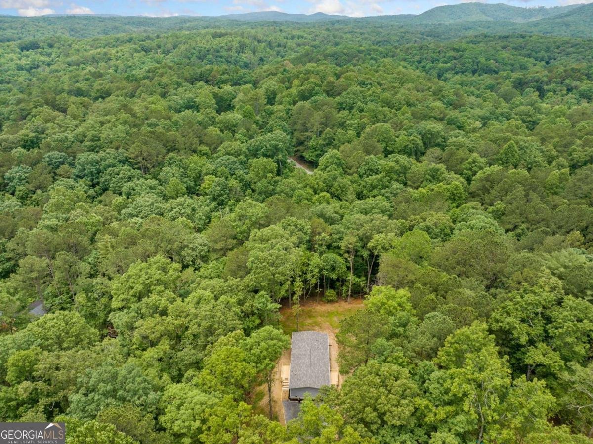 220 Jetty Drive Ellijay - 28