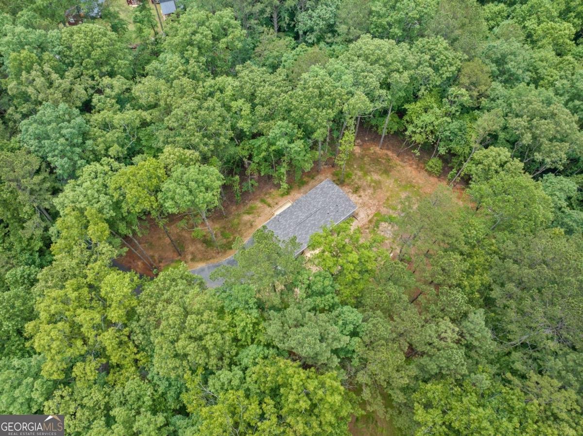 220 Jetty Drive Ellijay - 31