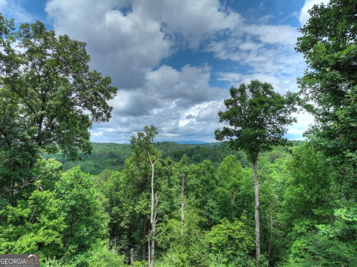 897 Faraday Drive Ellijay - 2