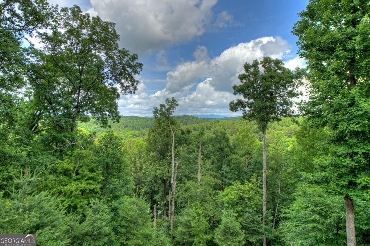 897 Faraday Drive Ellijay - 28