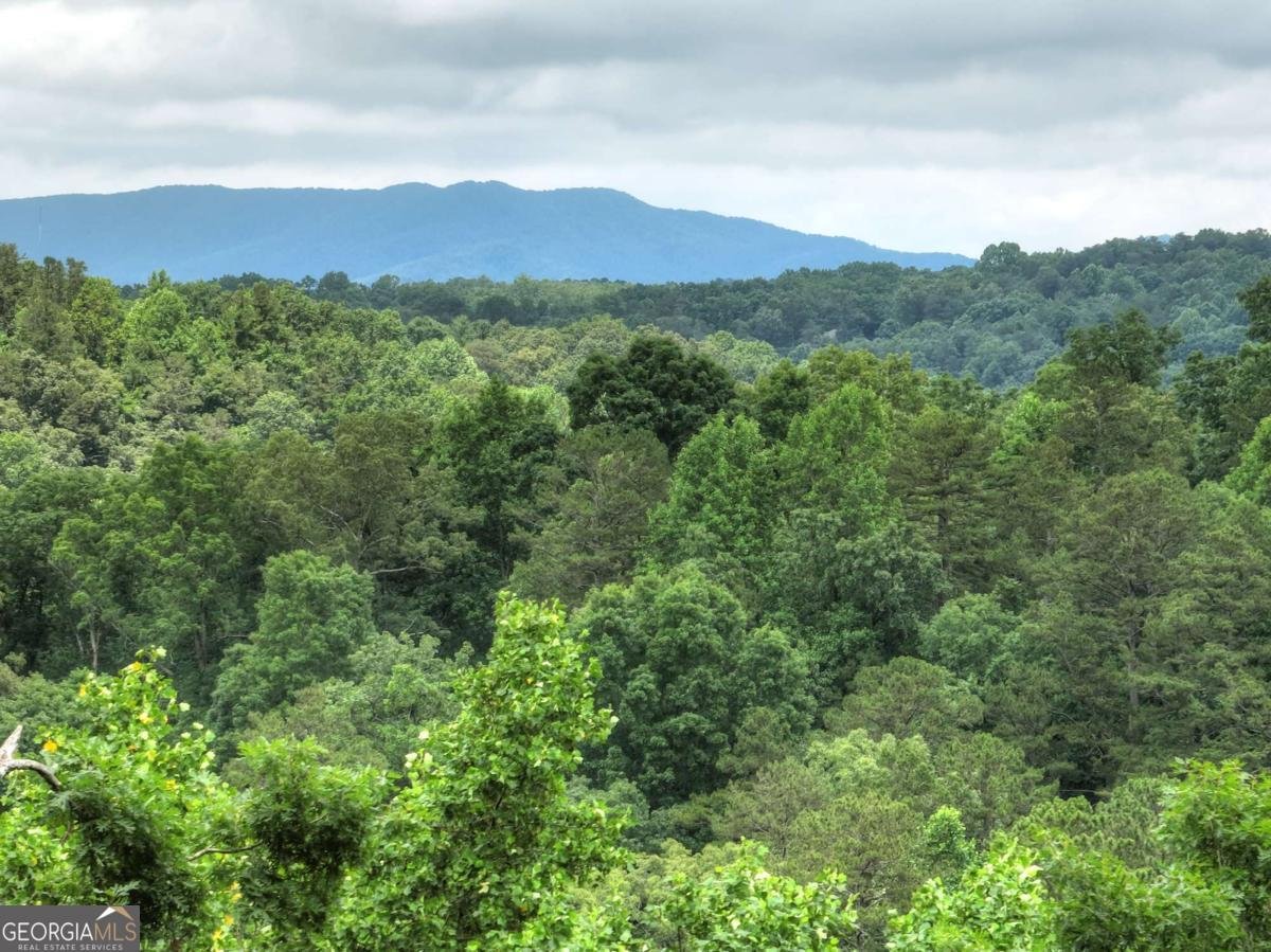 897 Faraday Drive Ellijay - 29