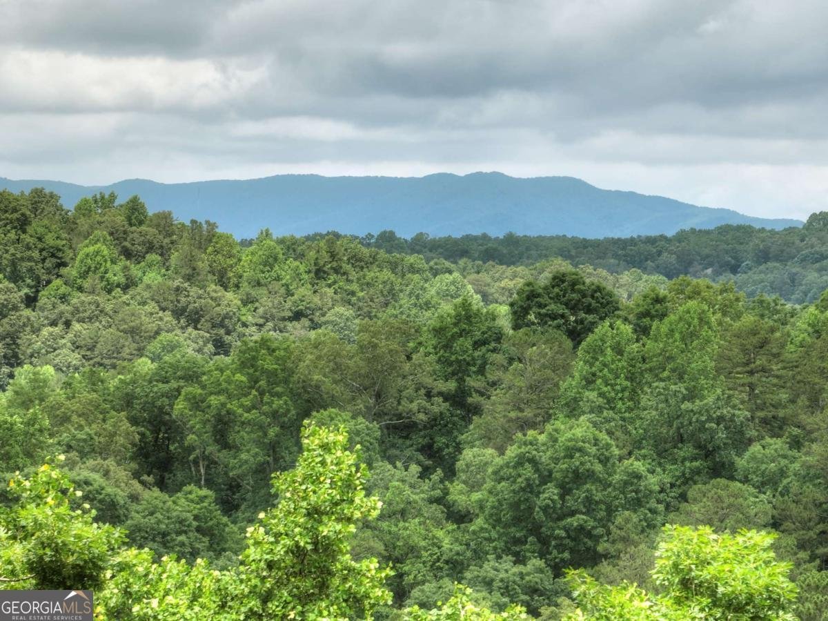 897 Faraday Drive Ellijay - 3