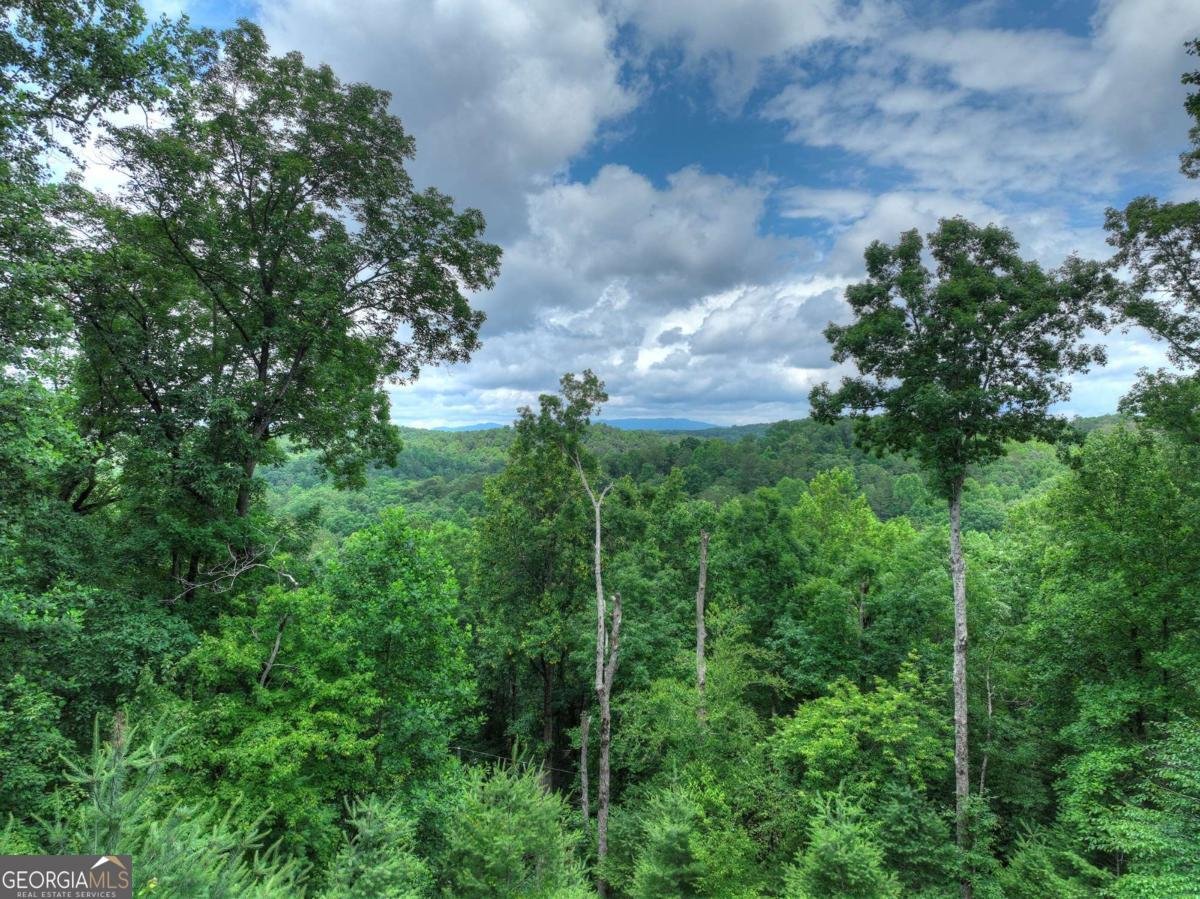 897 Faraday Drive Ellijay - 59
