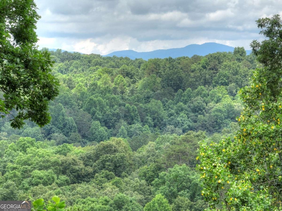 897 Faraday Drive Ellijay - 60