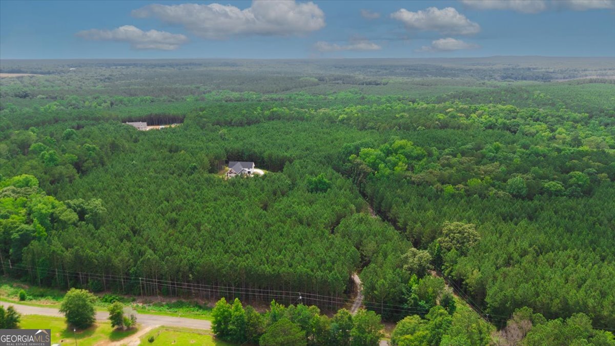 1585 Parks Road Forsyth - 41