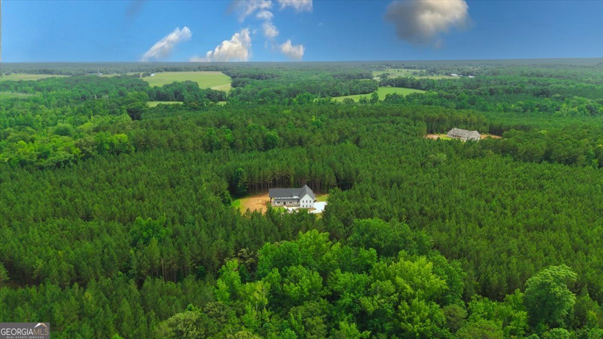 1585 Parks Road Forsyth - 42