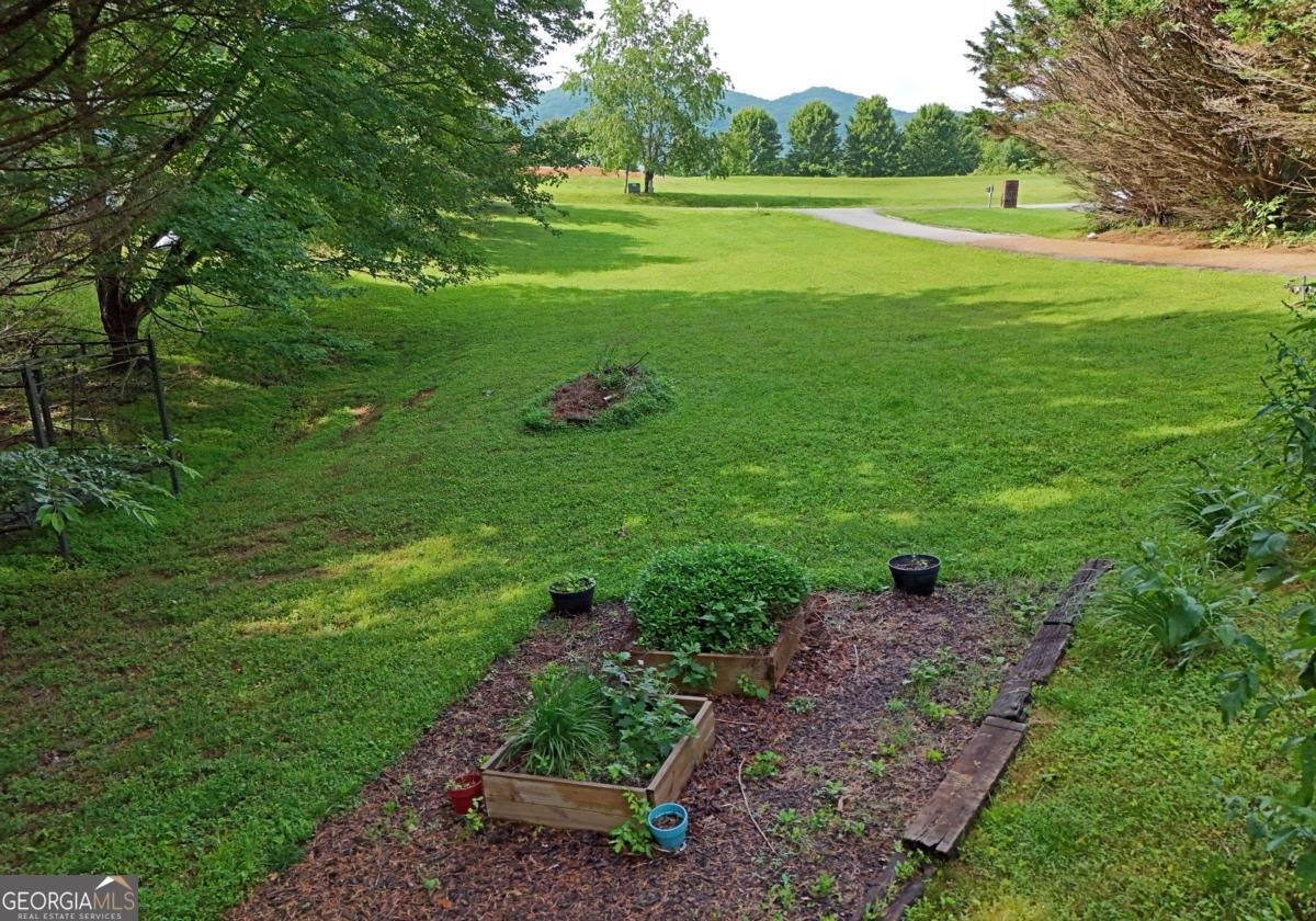 2499 Leisure Lane Young Harris - 13