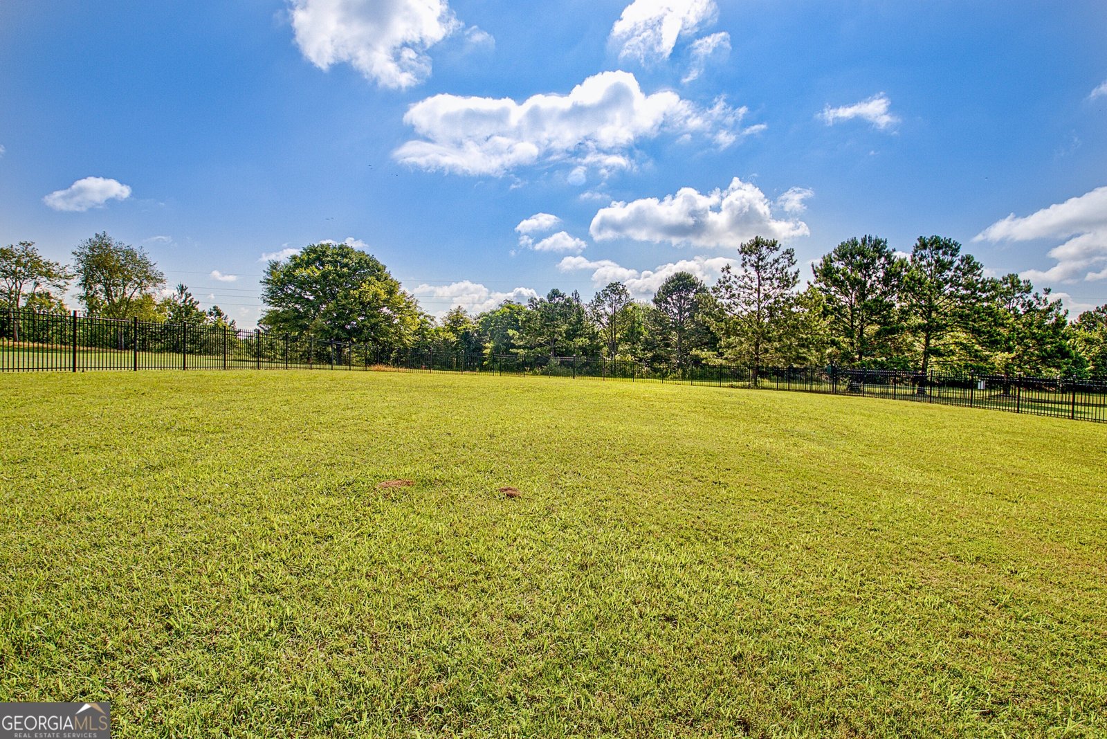 175 Rockhouse Ridge Senoia - 33