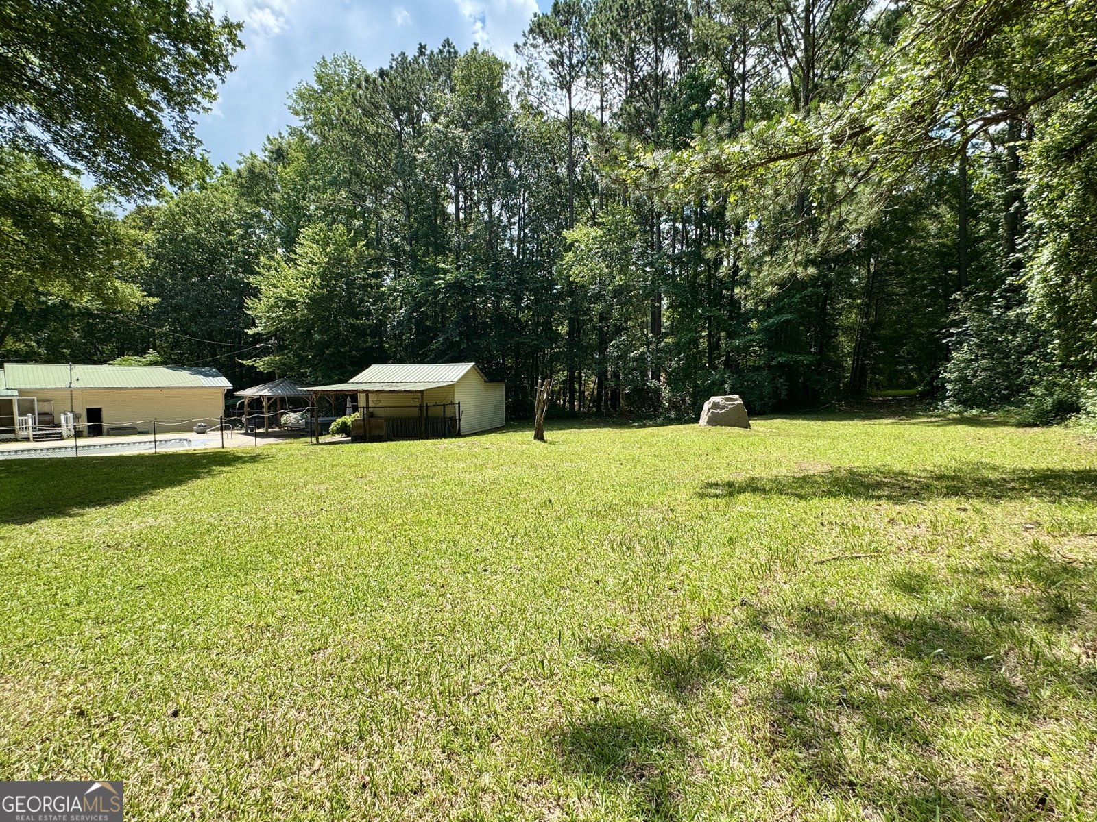 90 Howard Road Senoia - 22