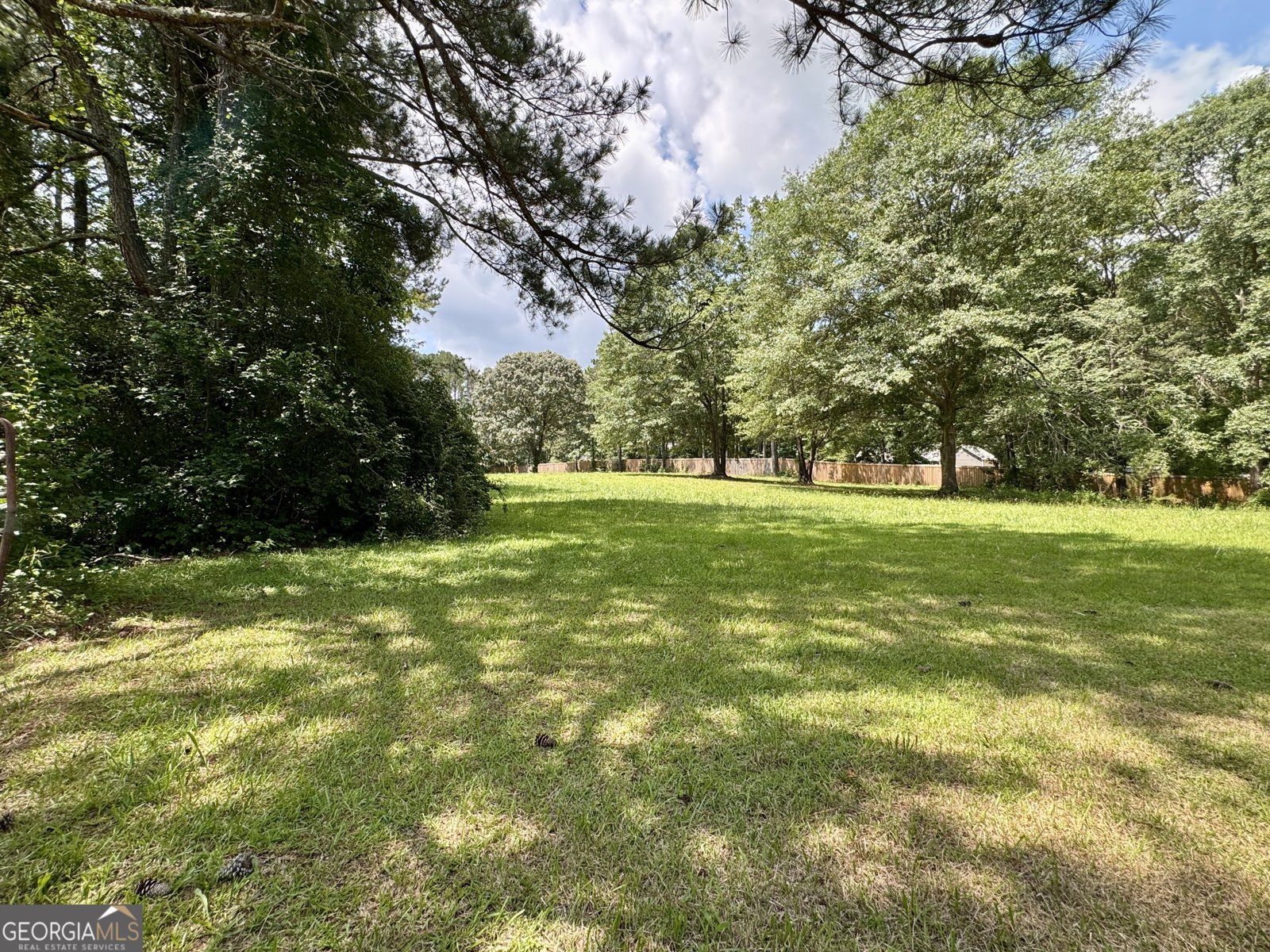 90 Howard Road Senoia - 24