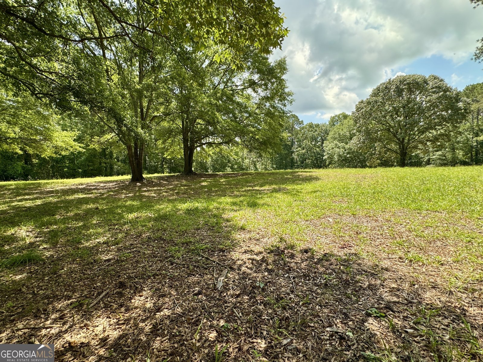90 Howard Road Senoia - 28