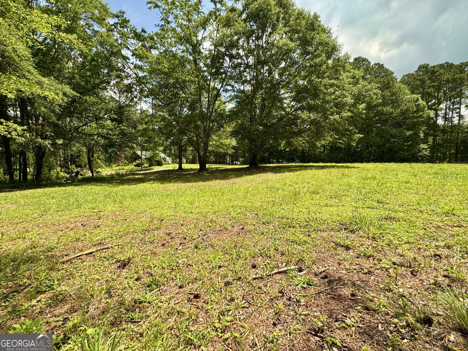 90 Howard Road Senoia - 29
