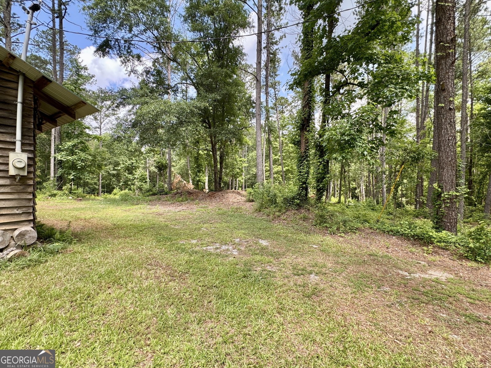 90 Howard Road Senoia - 38