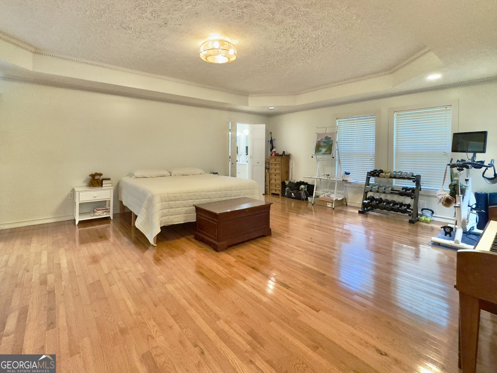 90 Howard Road Senoia - 4