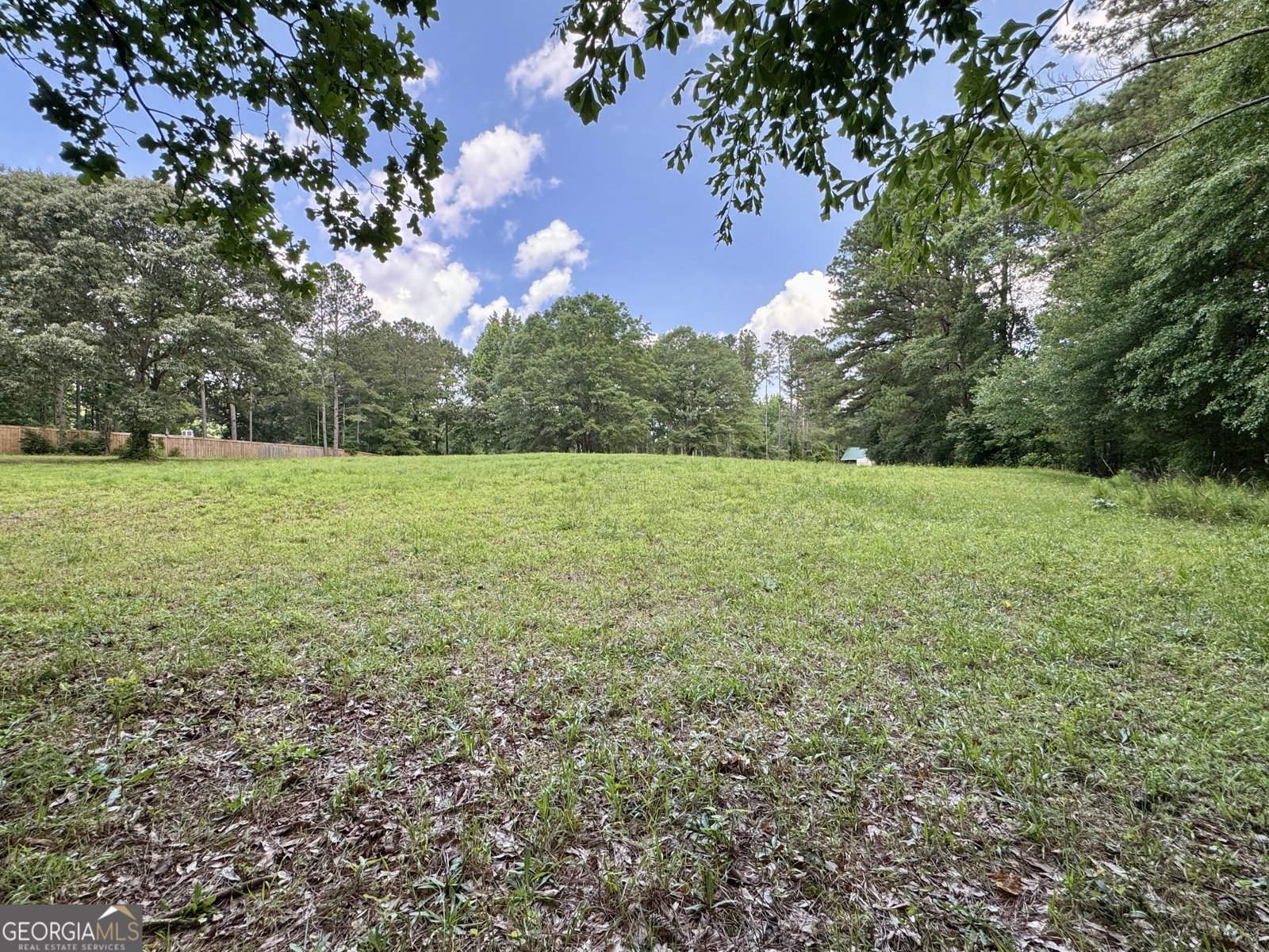 90 Howard Road Senoia - 90