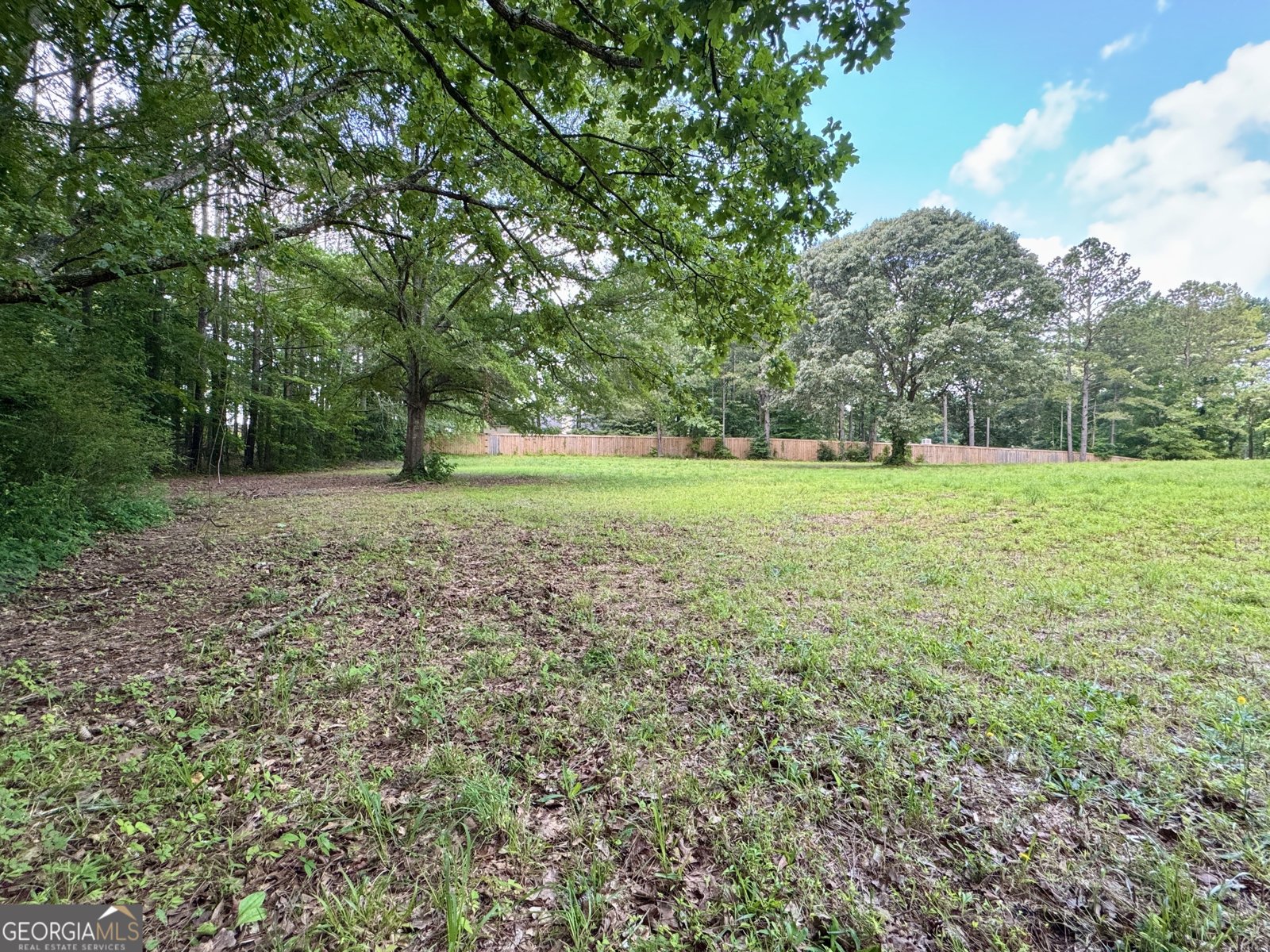 90 Howard Road Senoia - 92
