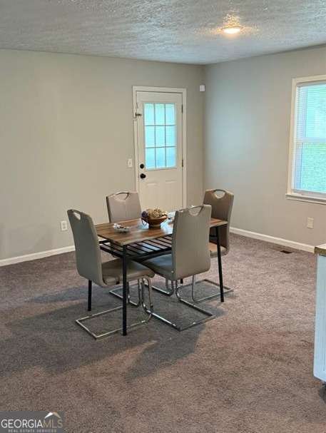 3990 Quail Drive Douglasville - 4