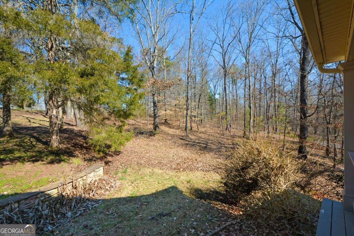 6865 Cowan Mill Road Winston - 10