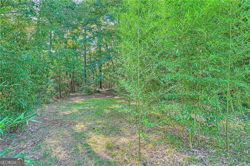 1565 Dr Bramblett Road Cumming - 18