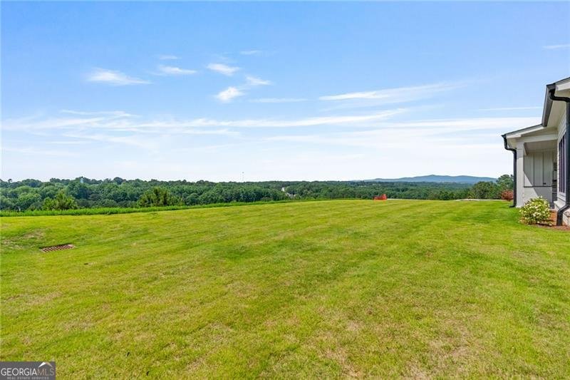 213 Brogans Bluffs Ball Ground - 56