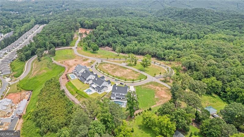 213 Brogans Bluffs Ball Ground - 79