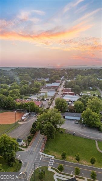 213 Brogans Bluffs Ball Ground - 85