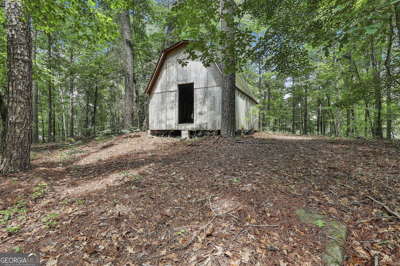 6220 Petersburg Road Fairburn - 78
