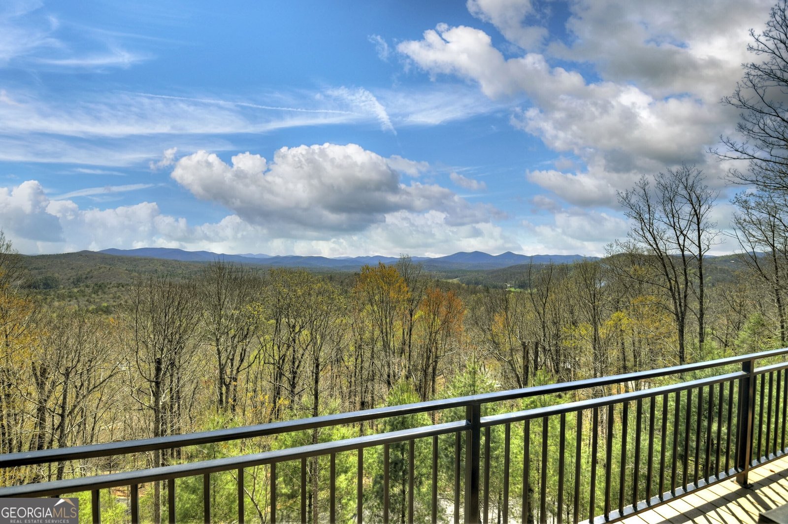 417 Bill Claypool Drive Blue Ridge - 50