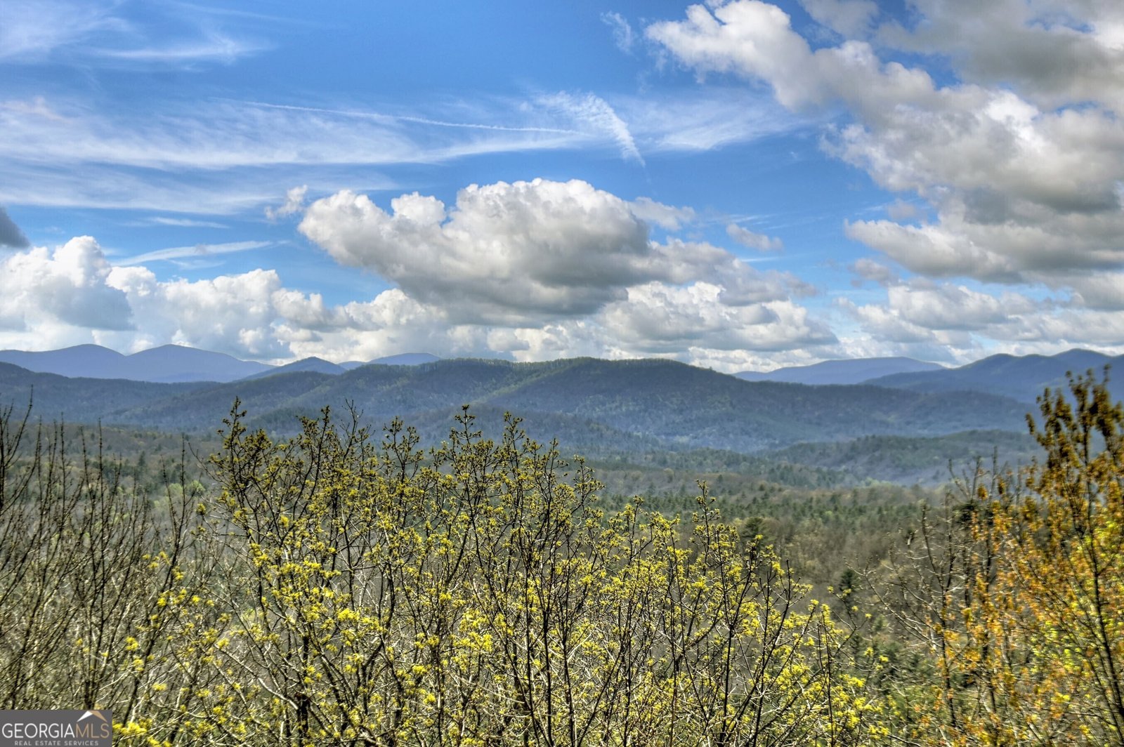 417 Bill Claypool Drive Blue Ridge - 53