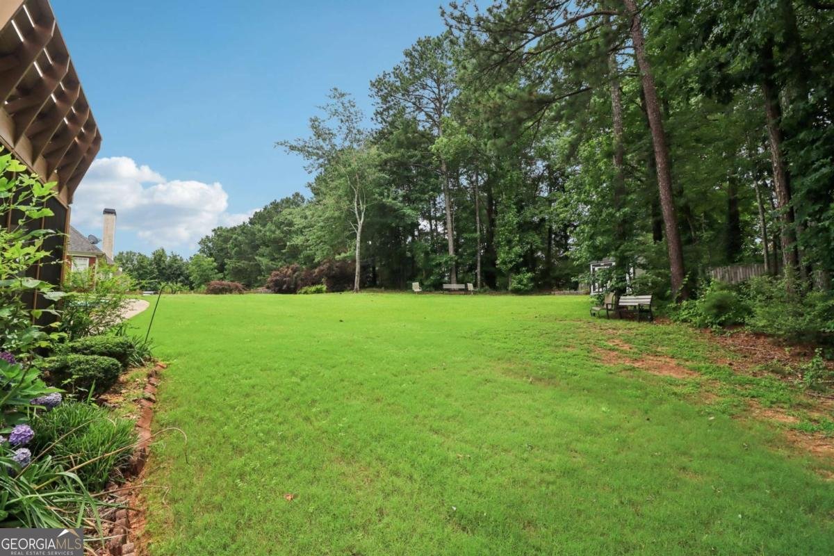 3223 Thornecreek Drive Douglasville - 61