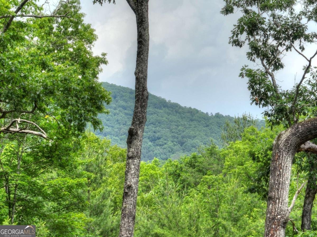 80 Harrison And Ada Road Blue Ridge - 44