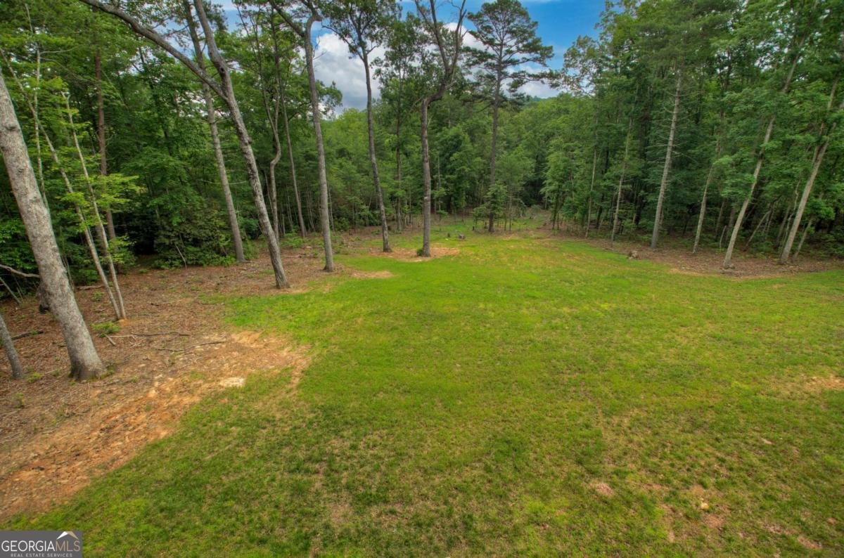 80 Harrison And Ada Road Blue Ridge - 45