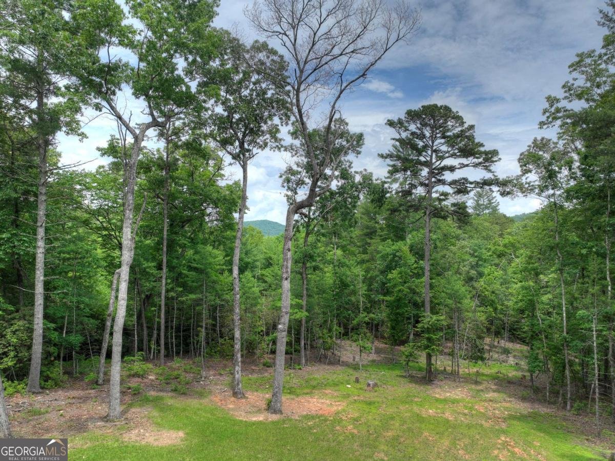 80 Harrison And Ada Road Blue Ridge - 55