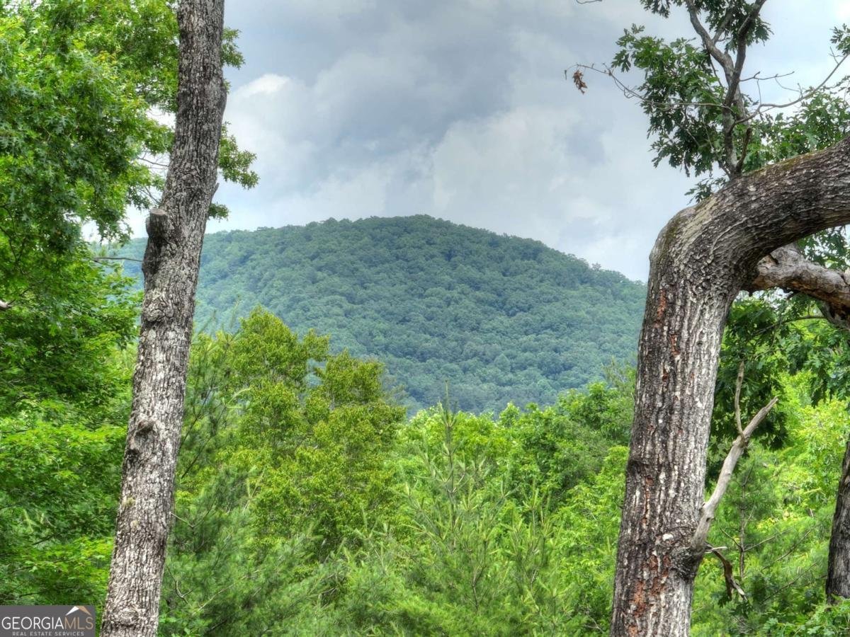 80 Harrison And Ada Road Blue Ridge - 56