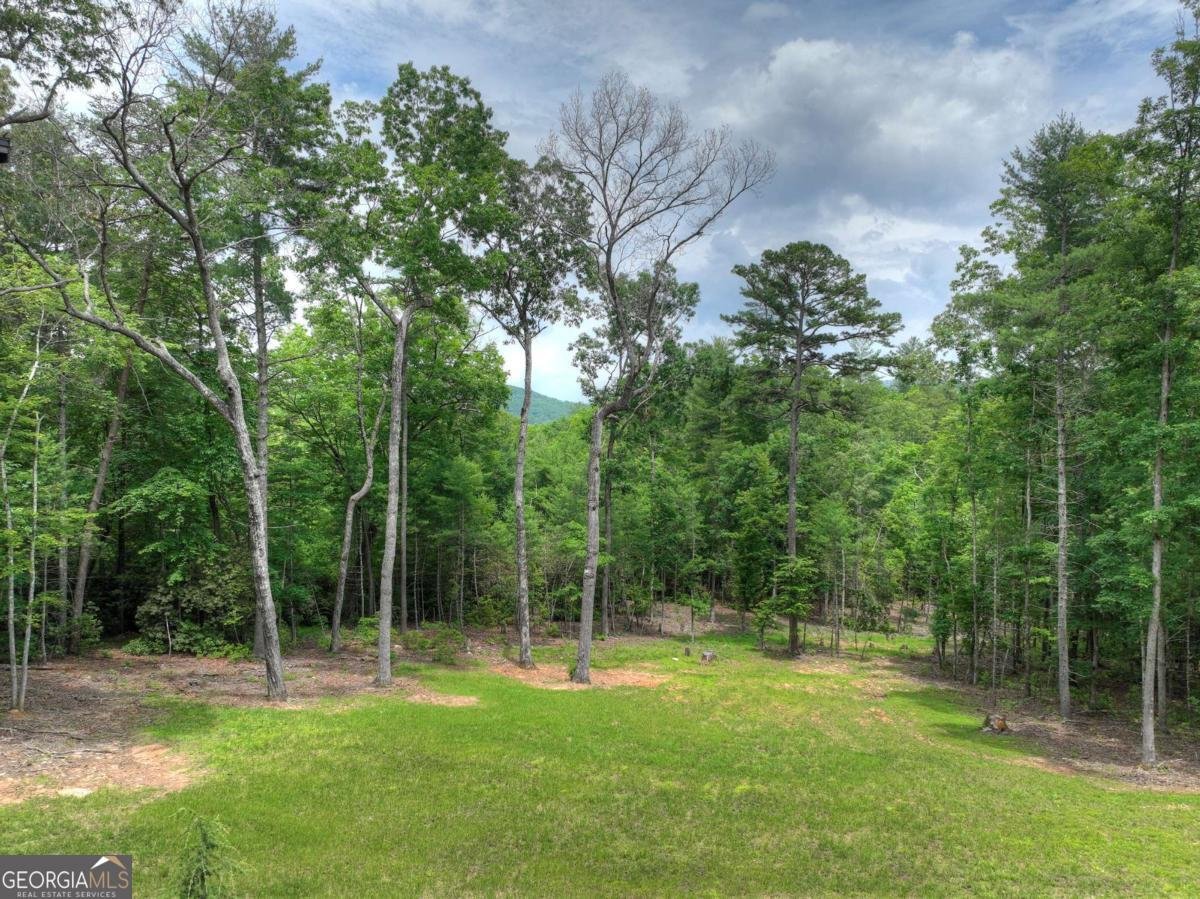 80 Harrison And Ada Road Blue Ridge - 57