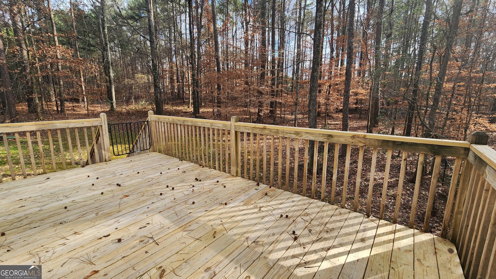 488 Morris Road Hiram - 43