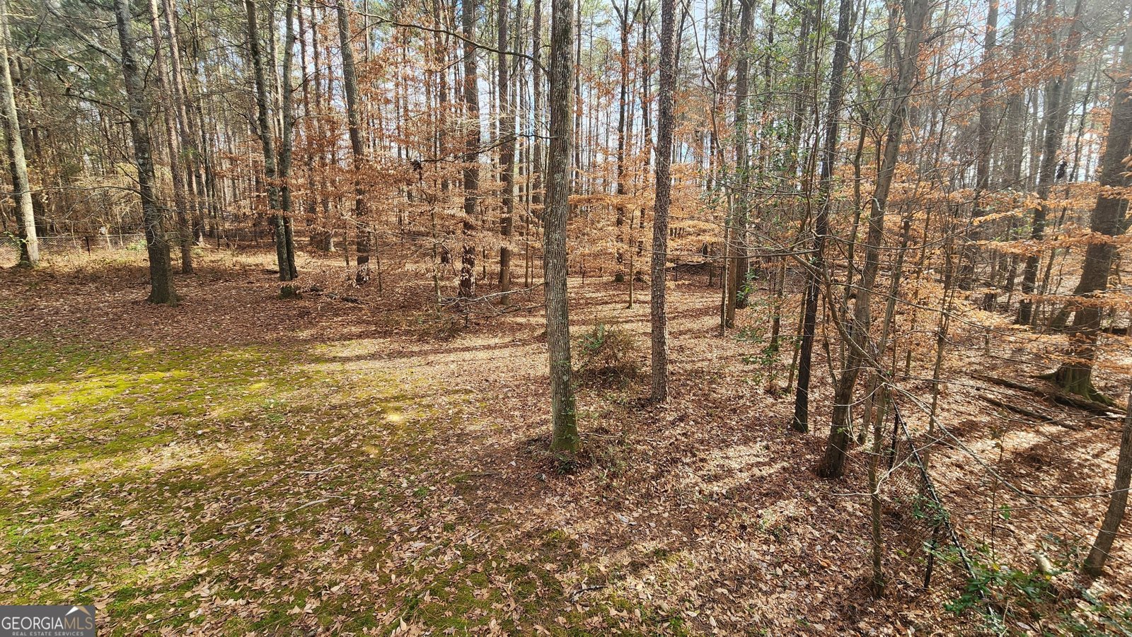 488 Morris Road Hiram - 46