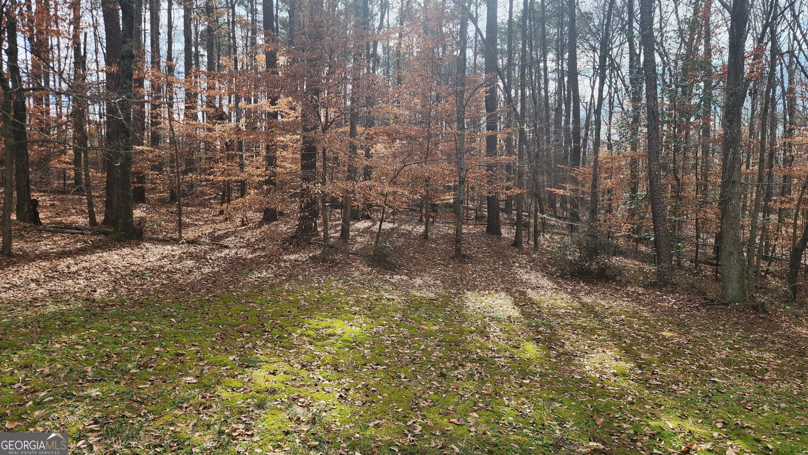 488 Morris Road Hiram - 47