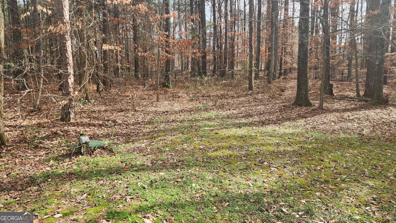 488 Morris Road Hiram - 48