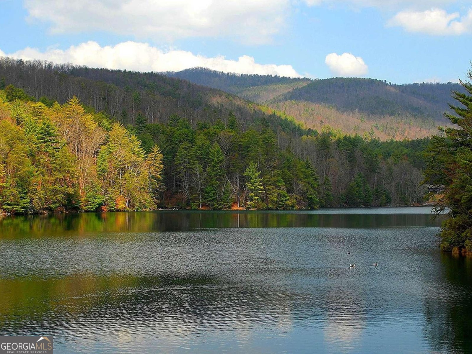 97 Eagles Nest Rd Sautee Nacoochee - 31