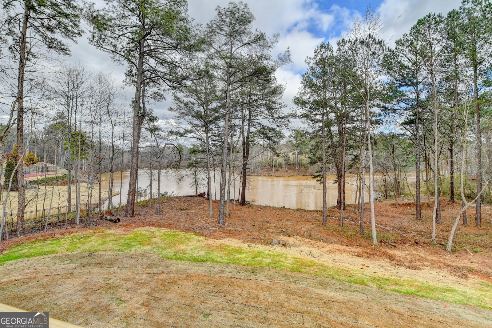 4090 Sandy Lake Drive Lithonia - 92